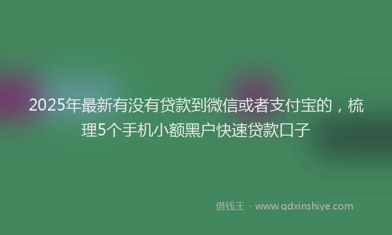2025年最新有没有贷款到微信或者支付宝的，梳理5个手机小额黑户快速贷款口子