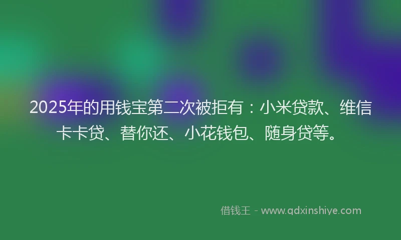 2025年的用钱宝第二次被拒有：小米贷款、维信卡卡贷、替你还、小花钱包、随身贷等。