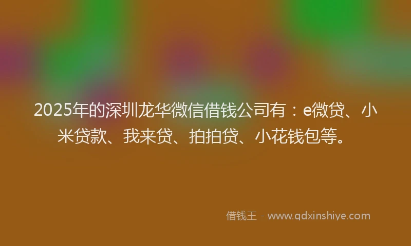 2025年的深圳龙华微信借钱公司有：e微贷、小米贷款、我来贷、拍拍贷、小花钱包等。