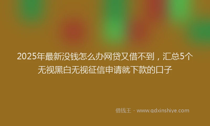 2025年最新没钱怎么办网贷又借不到，汇总5个无视黑白无视征信申请就下款的口子