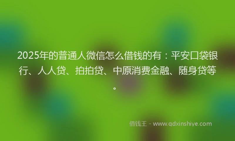 2025年的普通人微信怎么借钱的有：平安口袋银行、人人贷、拍拍贷、中原消费金融、随身贷等。
