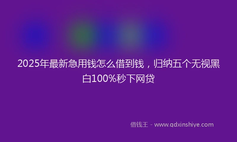 2025年最新急用钱怎么借到钱，归纳五个无视黑白100%秒下网贷