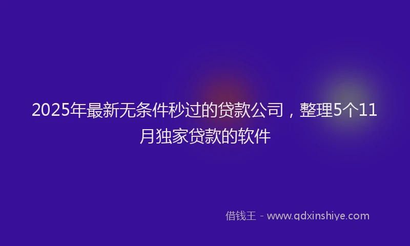2025年最新无条件秒过的贷款公司，整理5个11月独家贷款的软件