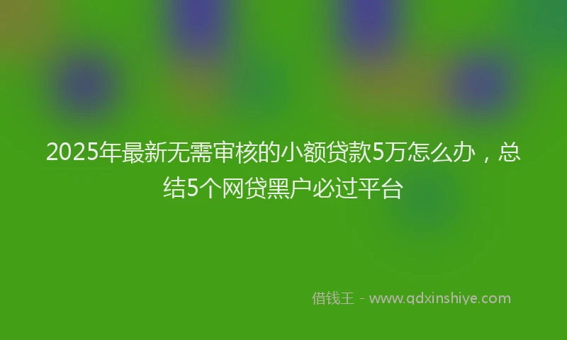2025年最新无需审核的小额贷款5万怎么办，总结5个网贷黑户必过平台