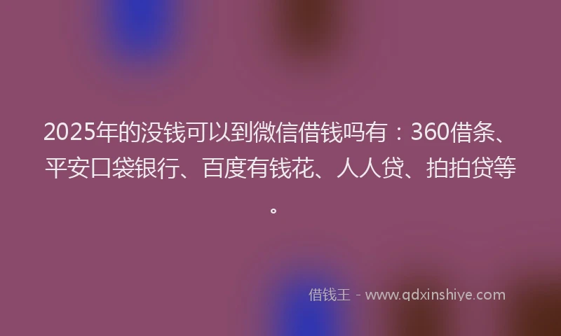2025年的没钱可以到微信借钱吗有：360借条、平安口袋银行、百度有钱花、人人贷、拍拍贷等。