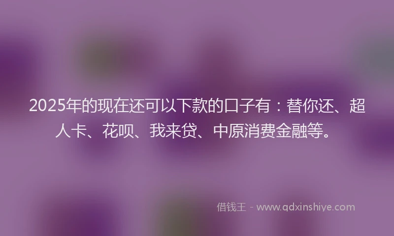 2025年的现在还可以下款的口子有：替你还、超人卡、花呗、我来贷、中原消费金融等。