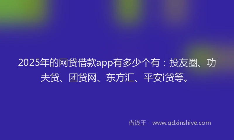 2025年的网贷借款app有多少个有：投友圈、功夫贷、团贷网、东方汇、平安i贷等。