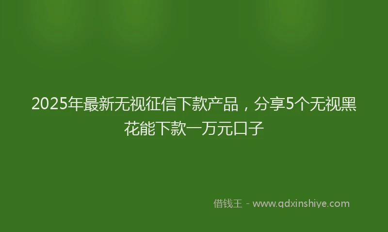 2025年最新无视征信下款产品，分享5个无视黑花能下款一万元口子