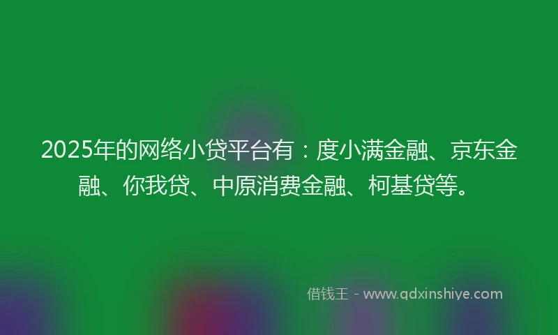 2025年的网络小贷平台有：度小满金融、京东金融、你我贷、中原消费金融、柯基贷等。
