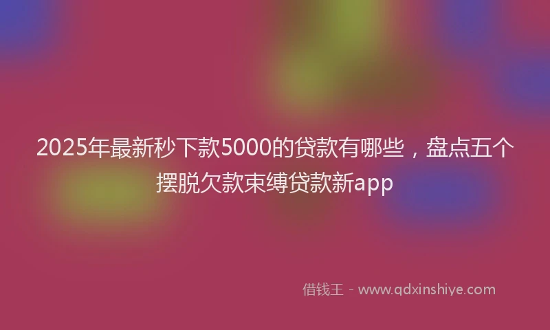 2025年最新秒下款5000的贷款有哪些，盘点五个摆脱欠款束缚贷款新app