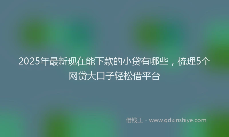 2025年最新现在能下款的小贷有哪些，梳理5个网贷大口子轻松借平台