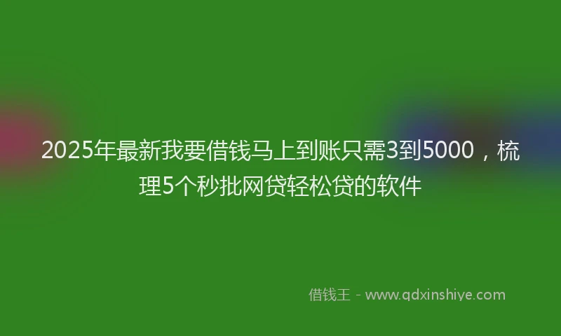 2025年最新我要借钱马上到账只需3到5000，梳理5个秒批网贷轻松贷的软件