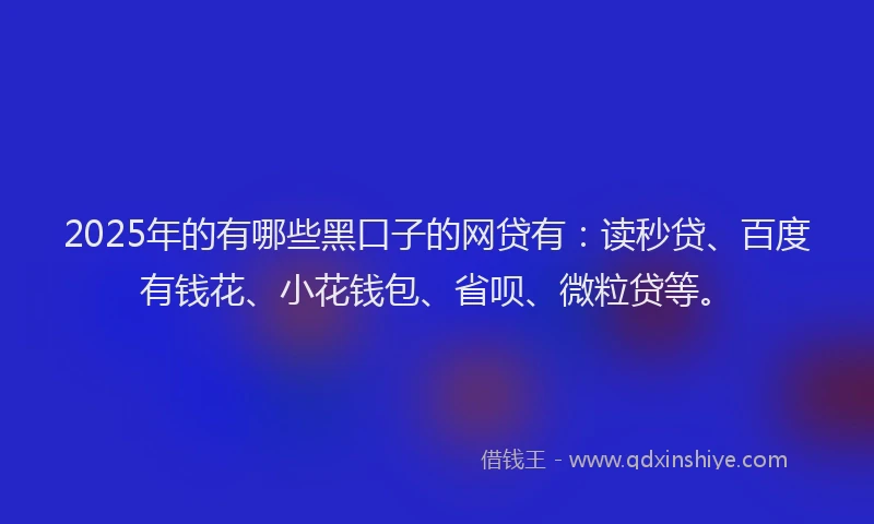 2025年的有哪些黑口子的网贷有：读秒贷、百度有钱花、小花钱包、省呗、微粒贷等。