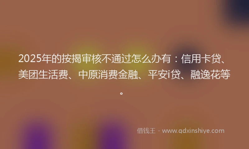 2025年的按揭审核不通过怎么办有：信用卡贷、美团生活费、中原消费金融、平安i贷、融逸花等。