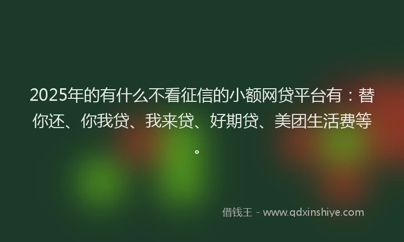 2025年的有什么不看征信的小额网贷平台有：替你还、你我贷、我来贷、好期贷、美团生活费等。