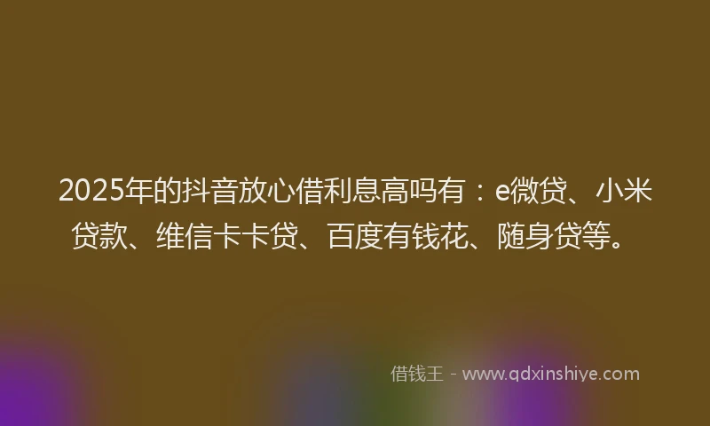 2025年的抖音放心借利息高吗有：e微贷、小米贷款、维信卡卡贷、百度有钱花、随身贷等。