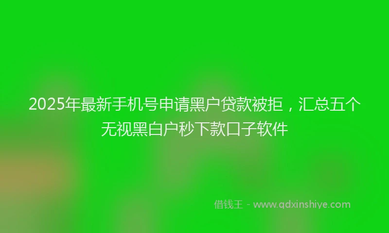 2025年最新手机号申请黑户贷款被拒，汇总五个无视黑白户秒下款口子软件