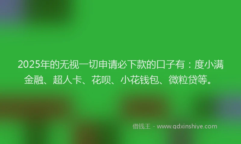 2025年的无视一切申请必下款的口子有：度小满金融、超人卡、花呗、小花钱包、微粒贷等。