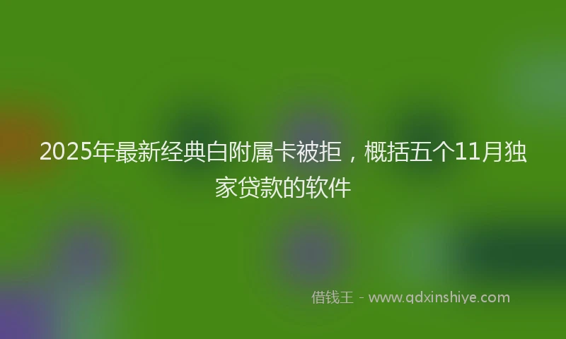 2025年最新经典白附属卡被拒，概括五个11月独家贷款的软件