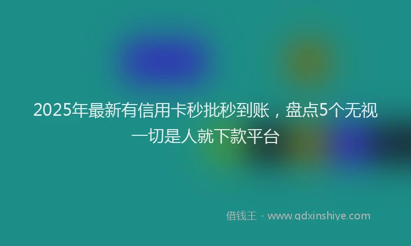 2025年最新有信用卡秒批秒到账，盘点5个无视一切是人就下款平台