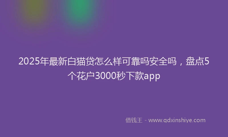 2025年最新白猫贷怎么样可靠吗安全吗，盘点5个花户3000秒下款app
