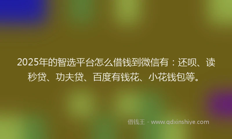 2025年的智选平台怎么借钱到微信有：还呗、读秒贷、功夫贷、百度有钱花、小花钱包等。
