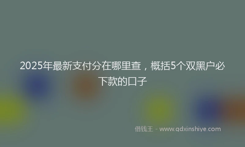2025年最新支付分在哪里查，概括5个双黑户必下款的口子