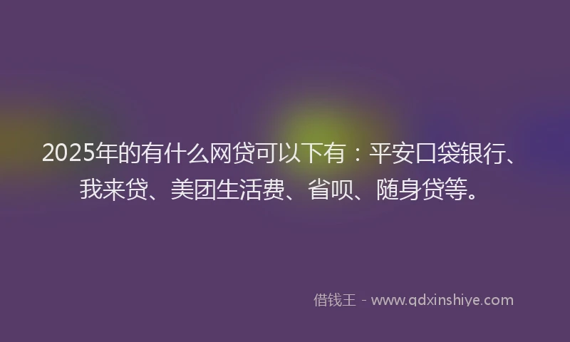 2025年的有什么网贷可以下有：平安口袋银行、我来贷、美团生活费、省呗、随身贷等。