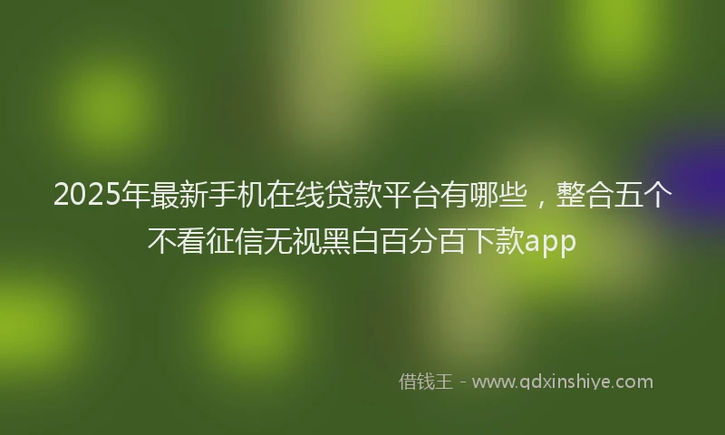 2025年最新手机在线贷款平台有哪些，整合五个不看征信无视黑白百分百下款app