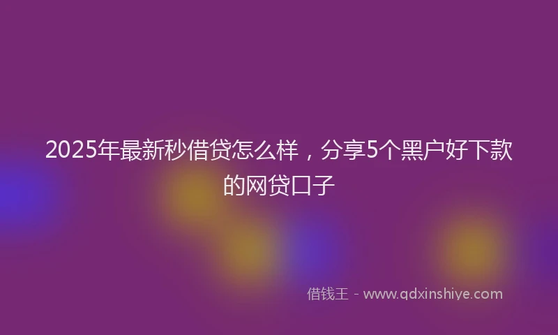 2025年最新秒借贷怎么样，分享5个黑户好下款的网贷口子