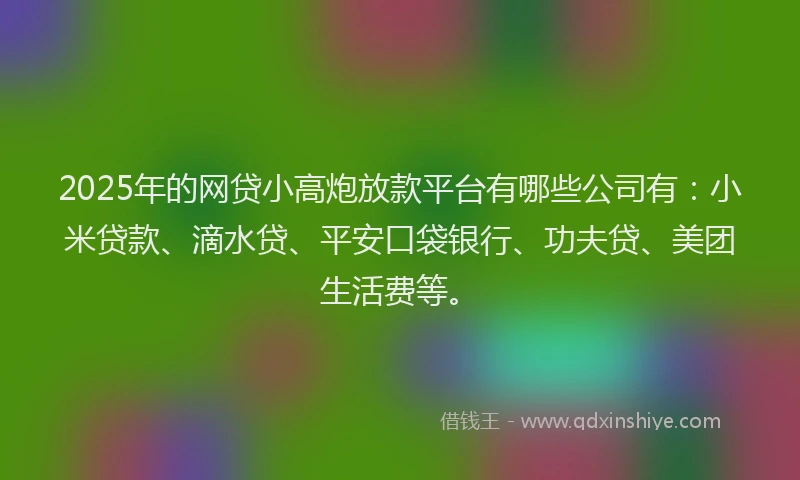2025年的网贷小高炮放款平台有哪些公司有：小米贷款、滴水贷、平安口袋银行、功夫贷、美团生活费等。