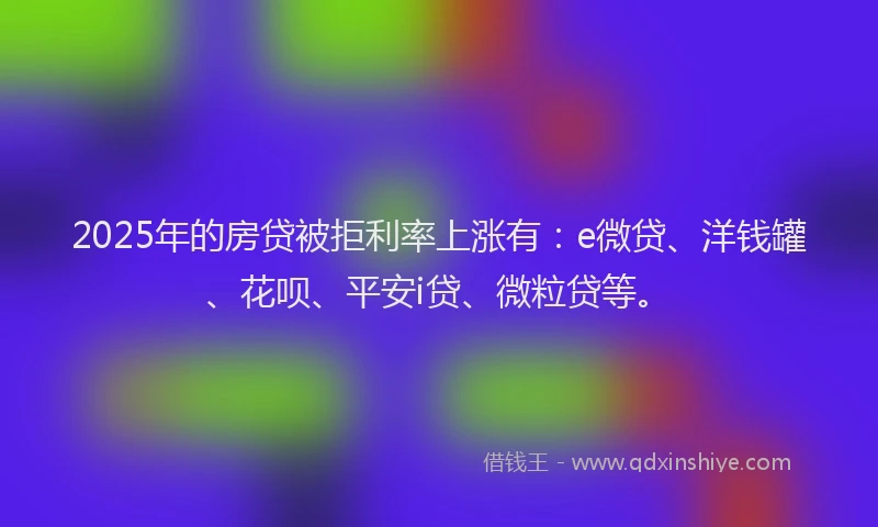 2025年的房贷被拒利率上涨有：e微贷、洋钱罐、花呗、平安i贷、微粒贷等。