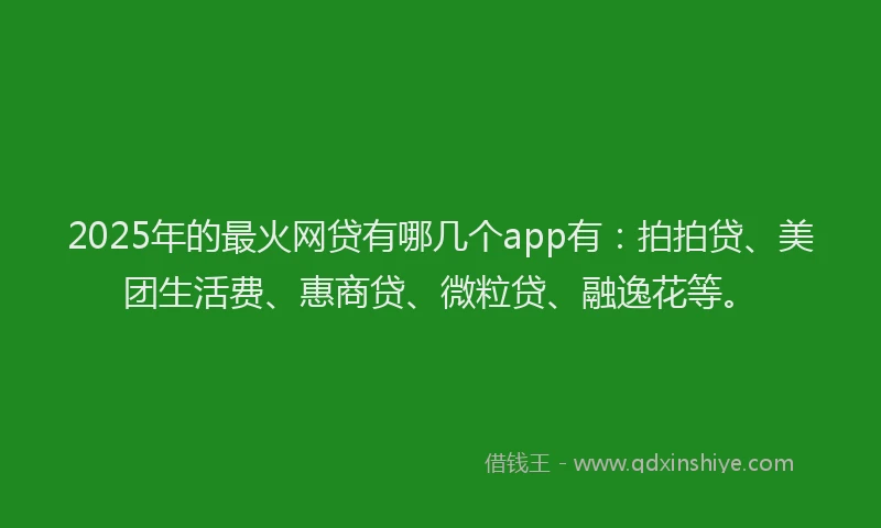 2025年的最火网贷有哪几个app有：拍拍贷、美团生活费、惠商贷、微粒贷、融逸花等。