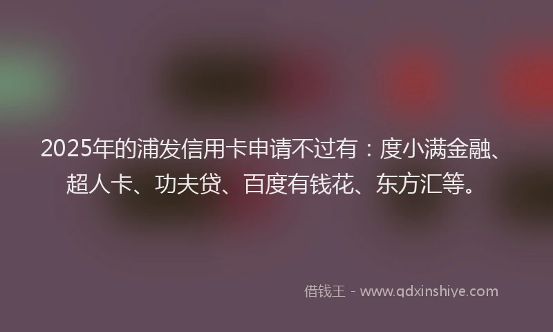 2025年的浦发信用卡申请不过有：度小满金融、超人卡、功夫贷、百度有钱花、东方汇等。