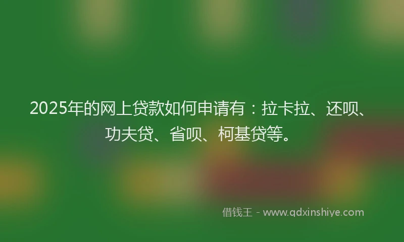 2025年的网上贷款如何申请有：拉卡拉、还呗、功夫贷、省呗、柯基贷等。