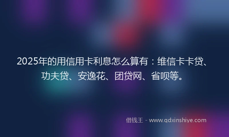 2025年的用信用卡利息怎么算有：维信卡卡贷、功夫贷、安逸花、团贷网、省呗等。