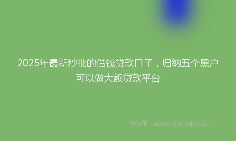 2025年最新秒批的借钱贷款口子，归纳五个黑户可以做大额贷款平台