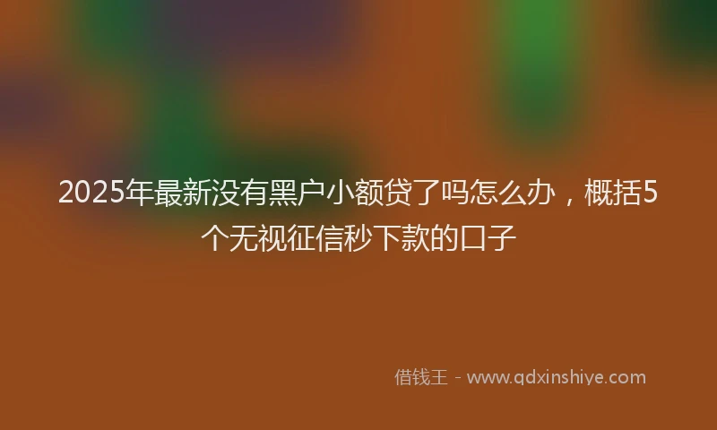 2025年最新没有黑户小额贷了吗怎么办，概括5个无视征信秒下款的口子