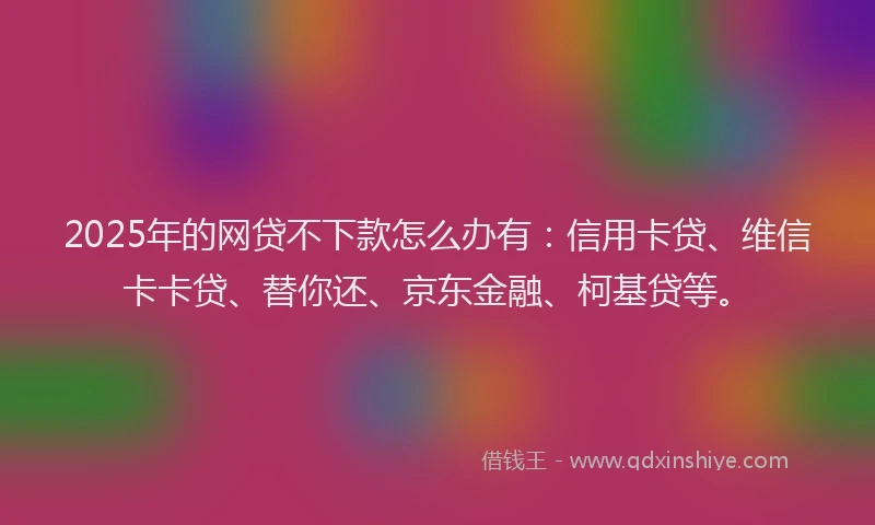 2025年的网贷不下款怎么办有：信用卡贷、维信卡卡贷、替你还、京东金融、柯基贷等。