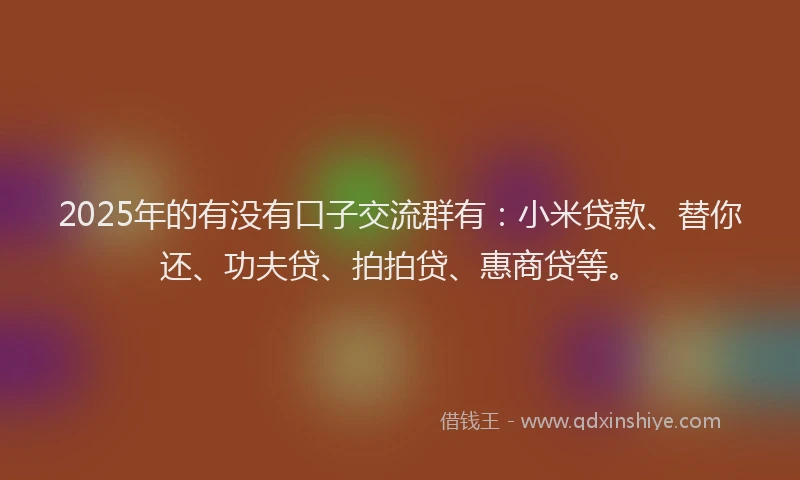 2025年的有没有口子交流群有：小米贷款、替你还、功夫贷、拍拍贷、惠商贷等。
