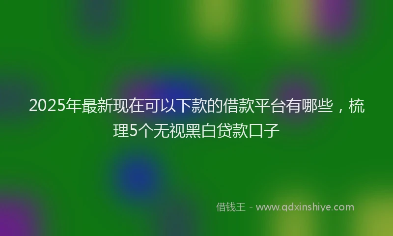 2025年最新现在可以下款的借款平台有哪些，梳理5个无视黑白贷款口子