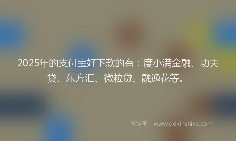 2025年的支付宝好下款的有：度小满金融、功夫贷、东方汇、微粒贷、融逸花等。