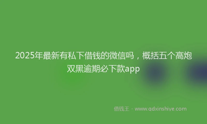 2025年最新有私下借钱的微信吗，概括五个高炮双黑逾期必下款app