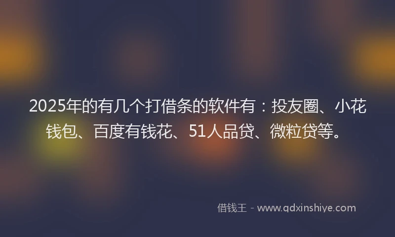 2025年的有几个打借条的软件有：投友圈、小花钱包、百度有钱花、51人品贷、微粒贷等。