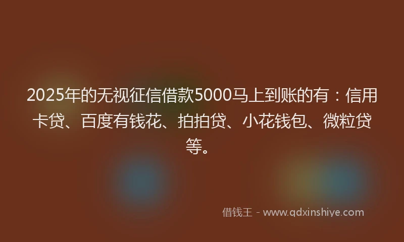 2025年的无视征信借款5000马上到账的有：信用卡贷、百度有钱花、拍拍贷、小花钱包、微粒贷等。