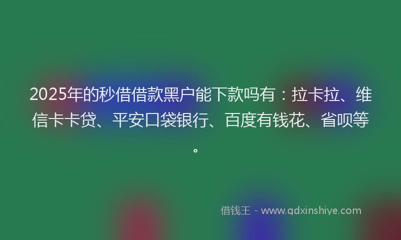 2025年的秒借借款黑户能下款吗有：拉卡拉、维信卡卡贷、平安口袋银行、百度有钱花、省呗等。