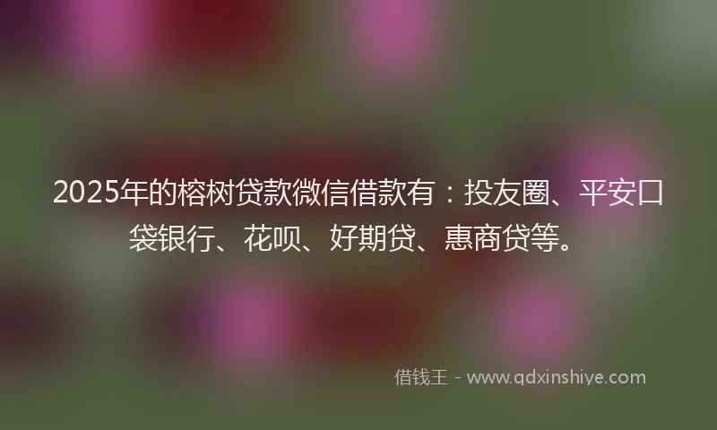 2025年的榕树贷款微信借款有:投友圈、平安口袋银行、花呗、好期贷、惠商贷等。
