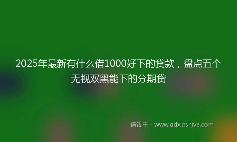 2025年最新有什么借1000好下的贷款，盘点五个无视双黑能下的分期贷