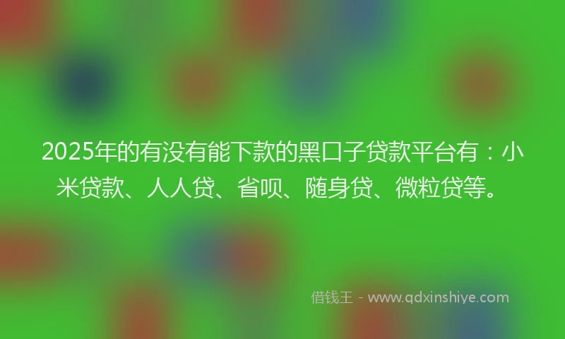 2025年的有没有能下款的黑口子贷款平台有：小米贷款、人人贷、省呗、随身贷、微粒贷等。