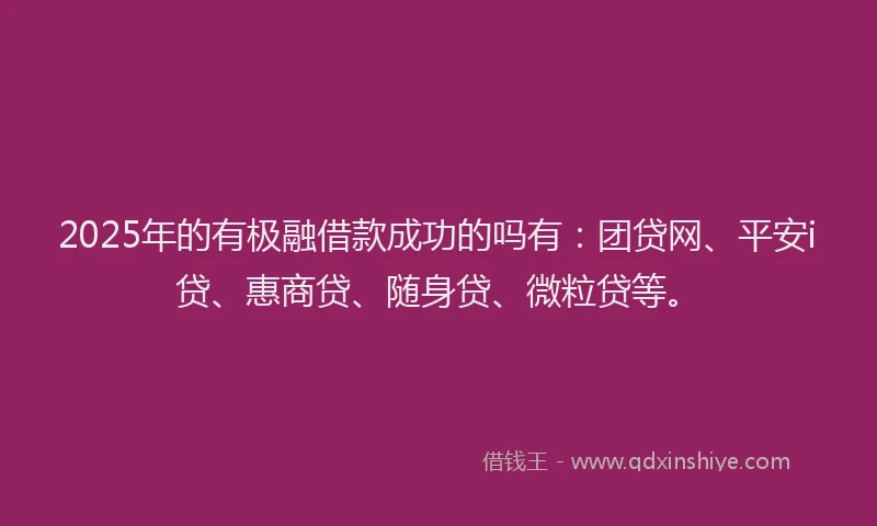 2025年的有极融借款成功的吗有：团贷网、平安i贷、惠商贷、随身贷、微粒贷等。